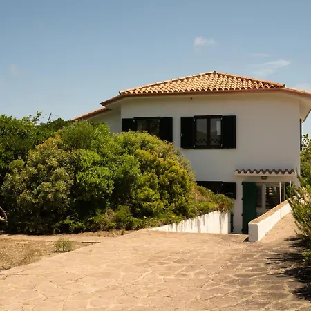 Palme House *