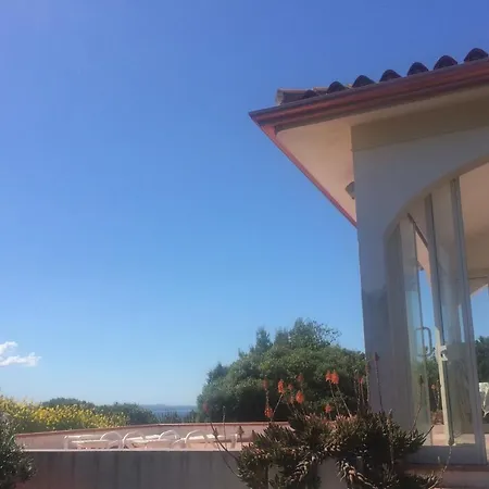 Palme House Ferienhaus