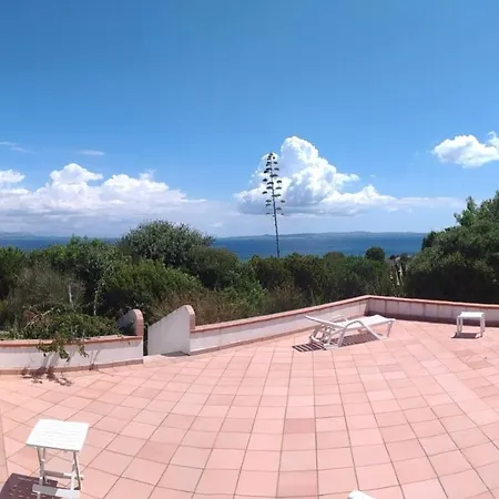 Palme House Ferienhaus