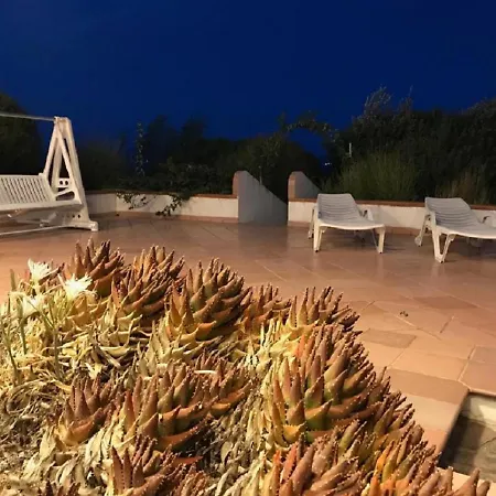 Palme House Ferienhaus