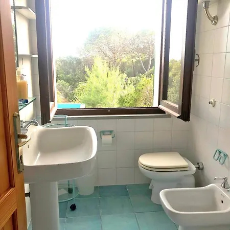 Holiday home Palme House *