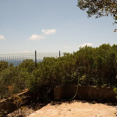 Ferienhaus Palme House Carloforte (Isola di San Pietro)