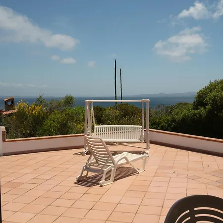 Ferienhaus Palme House *