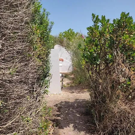 Ferienhaus Palme House *