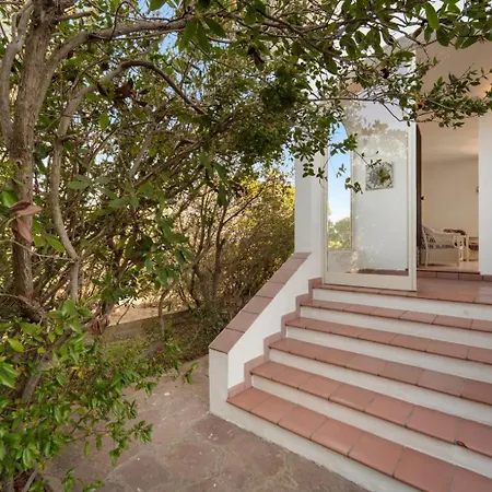 Holiday home Palme House - 4br, Walk To & Garden Carloforte (Isola di San Pietro)